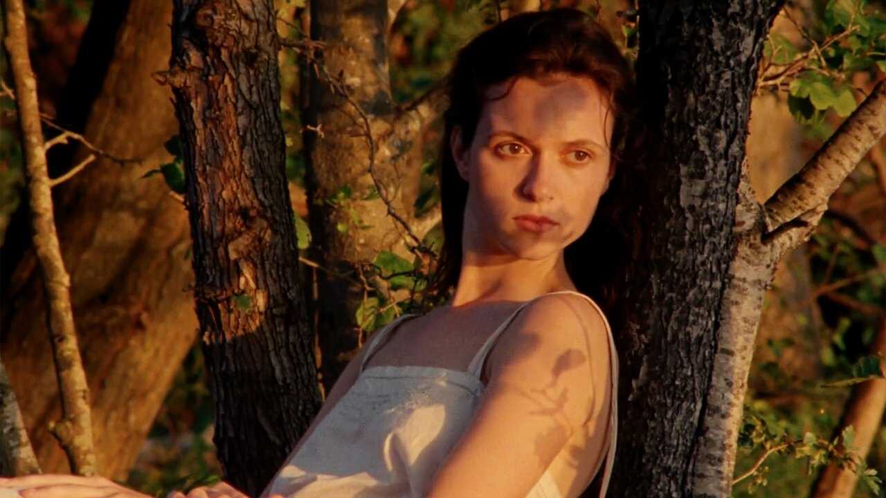 L'Envol 0