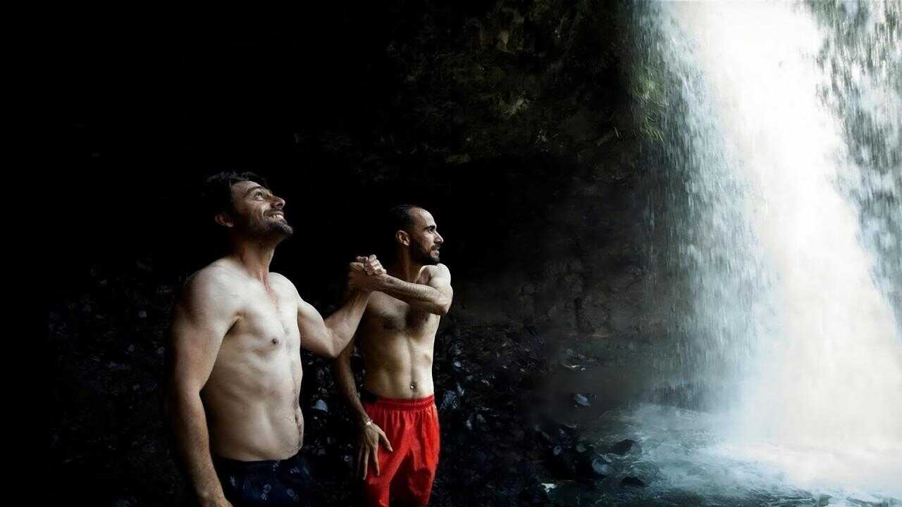Freedom Is Beautiful 0