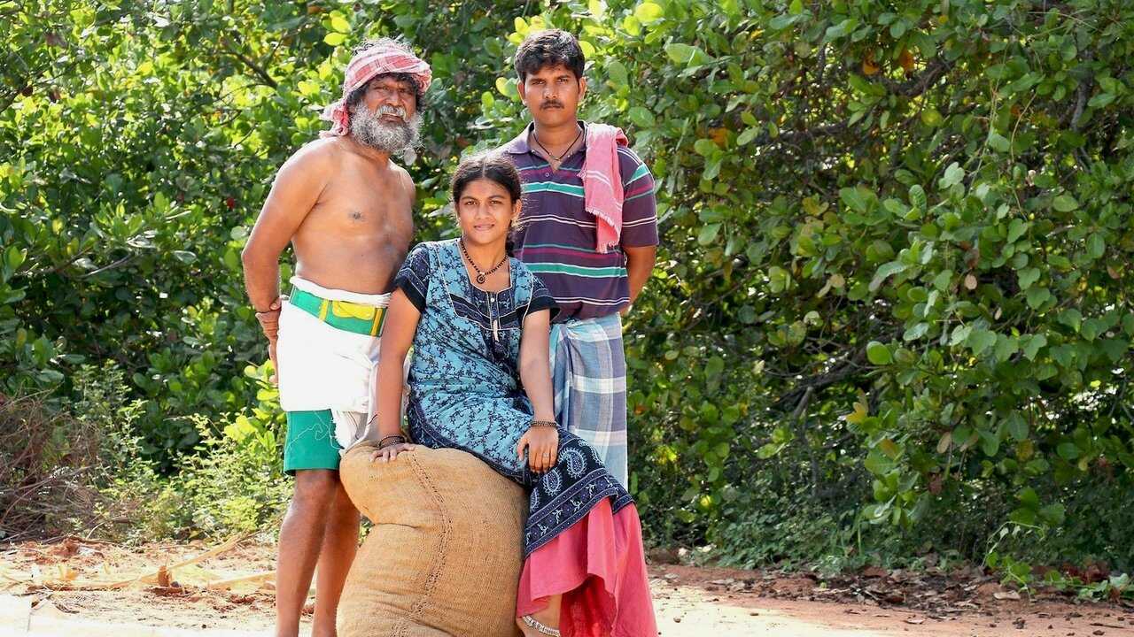 முந்திரிக்காடு 0
