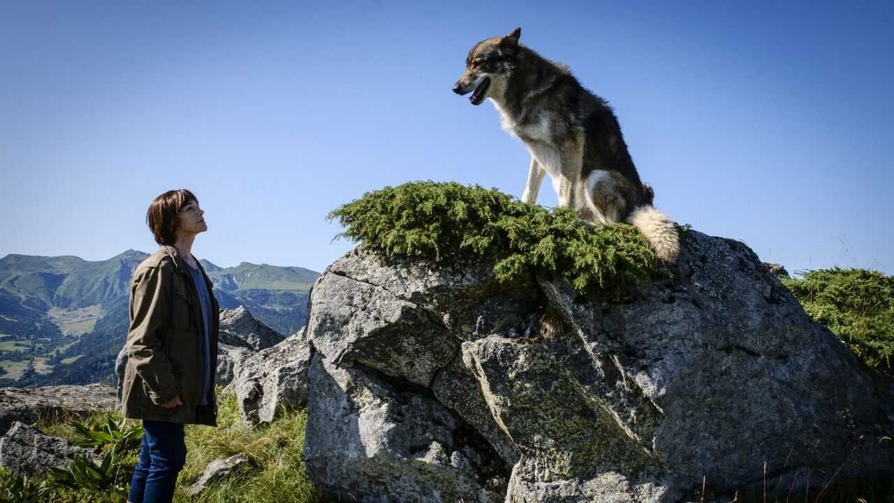 Mort d'un berger (2024) 0