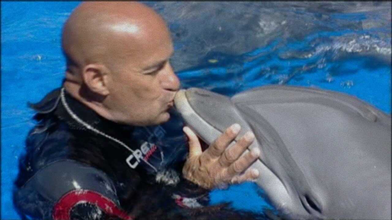 ¿Qué le pasó al rey de los delfines? 0