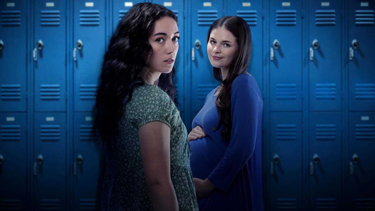 The Pregnancy Promise 0