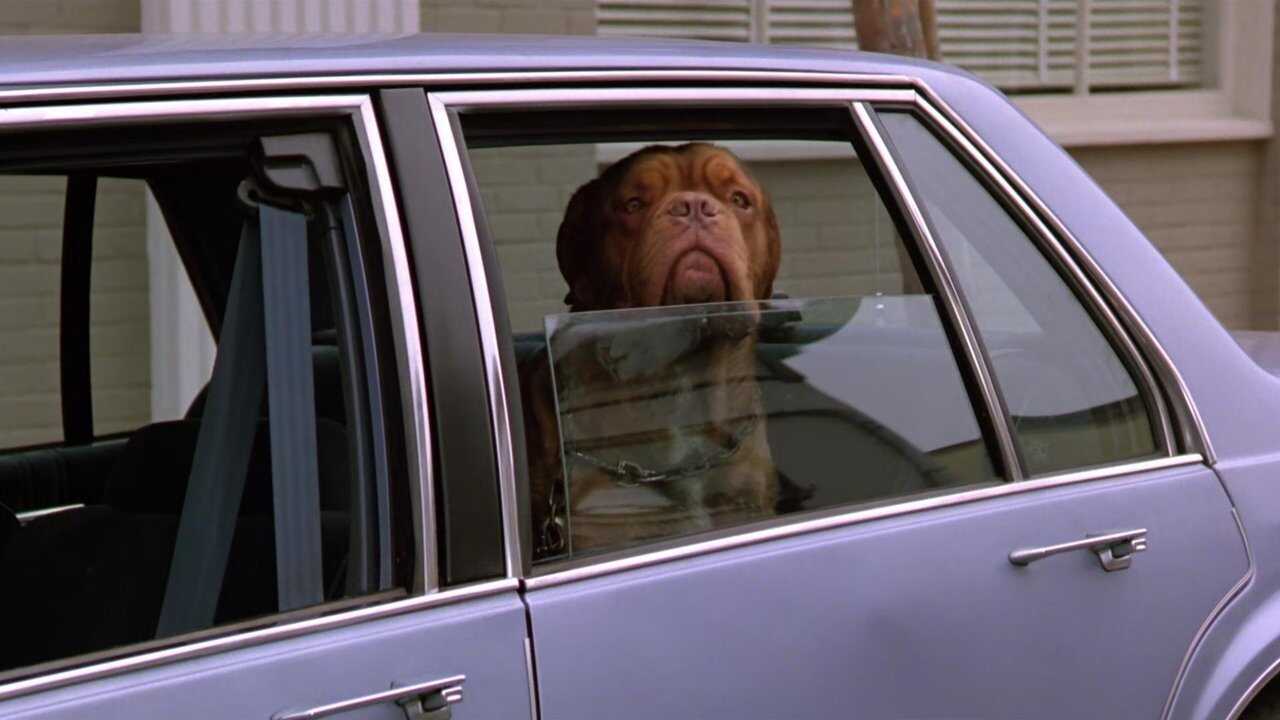 Turner & Hooch 0
