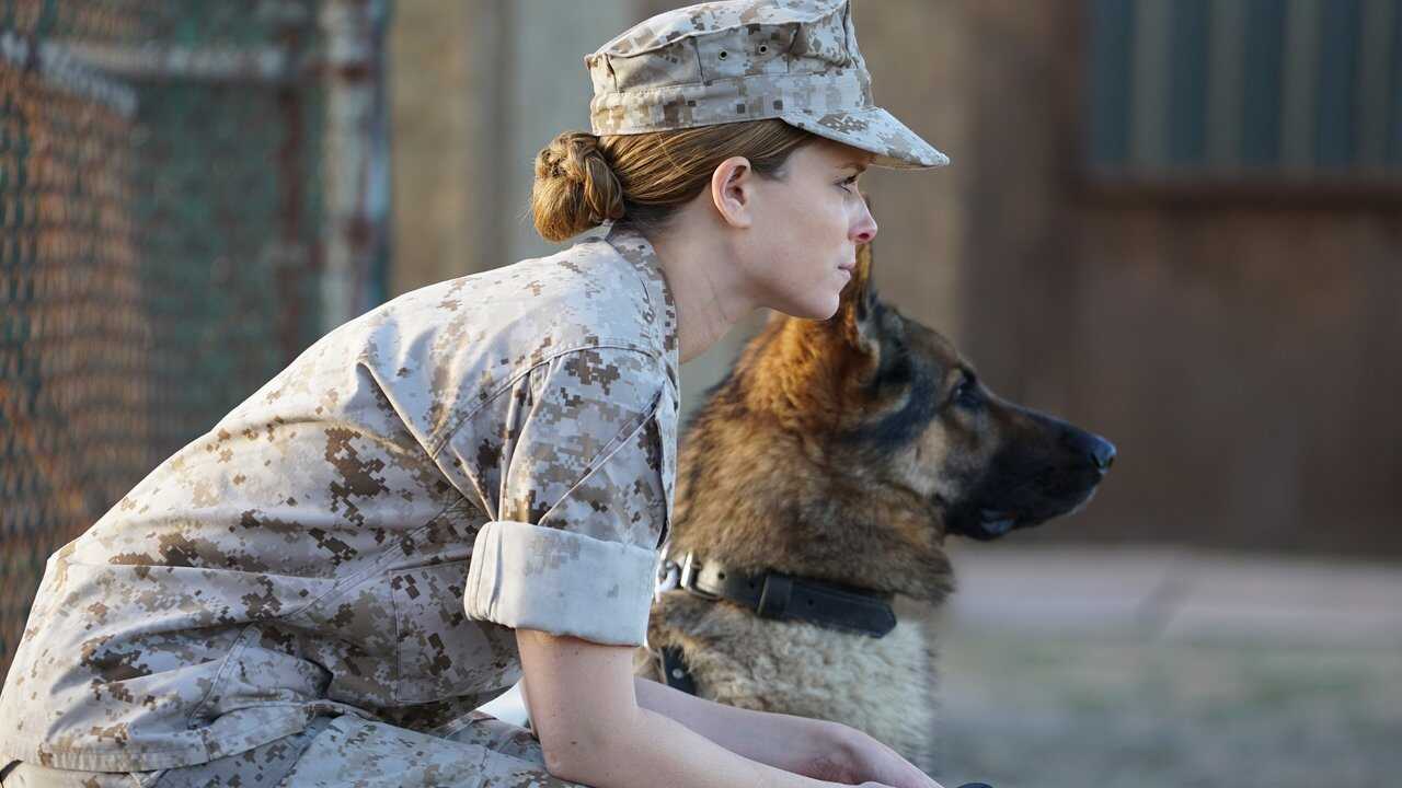 Megan Leavey (2017) 0