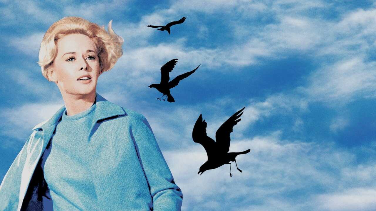 The Birds 0