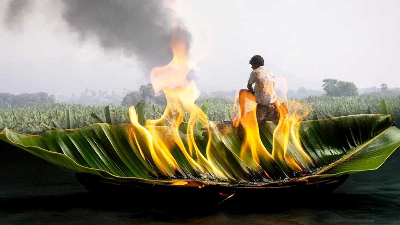 வாழை 0