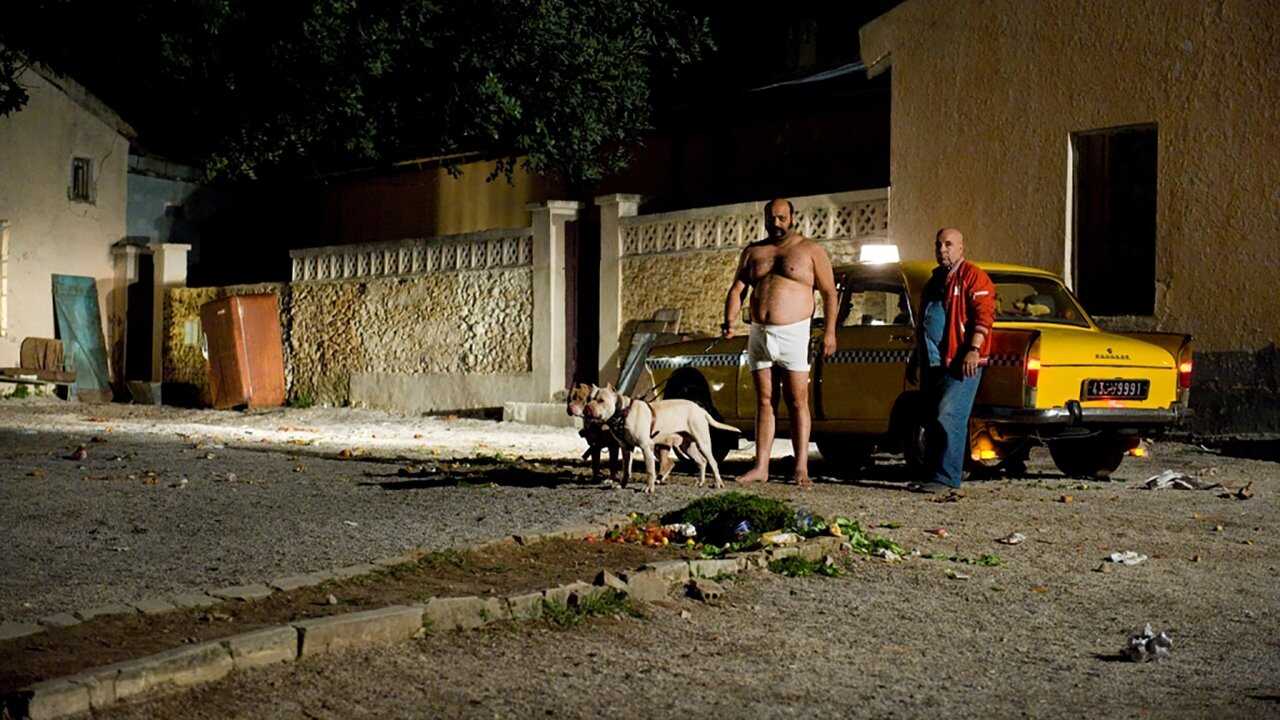 باستاردو (2013) 0