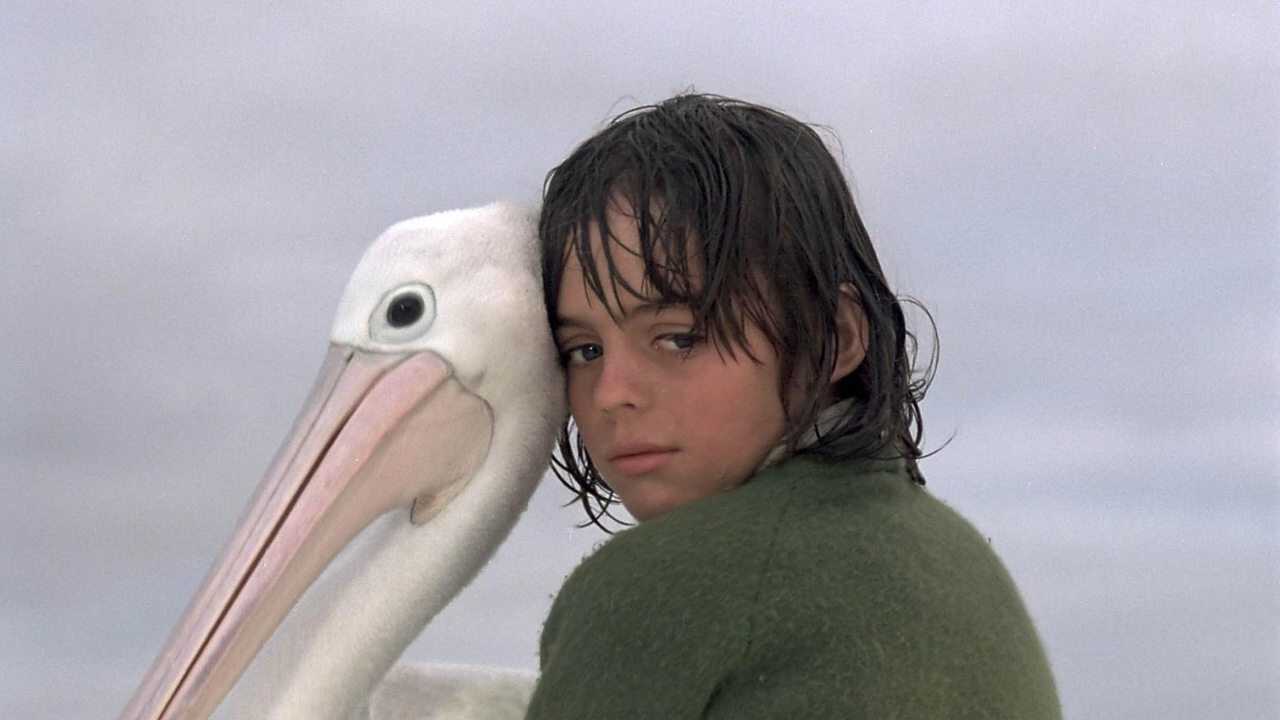 Storm Boy (1977) 0