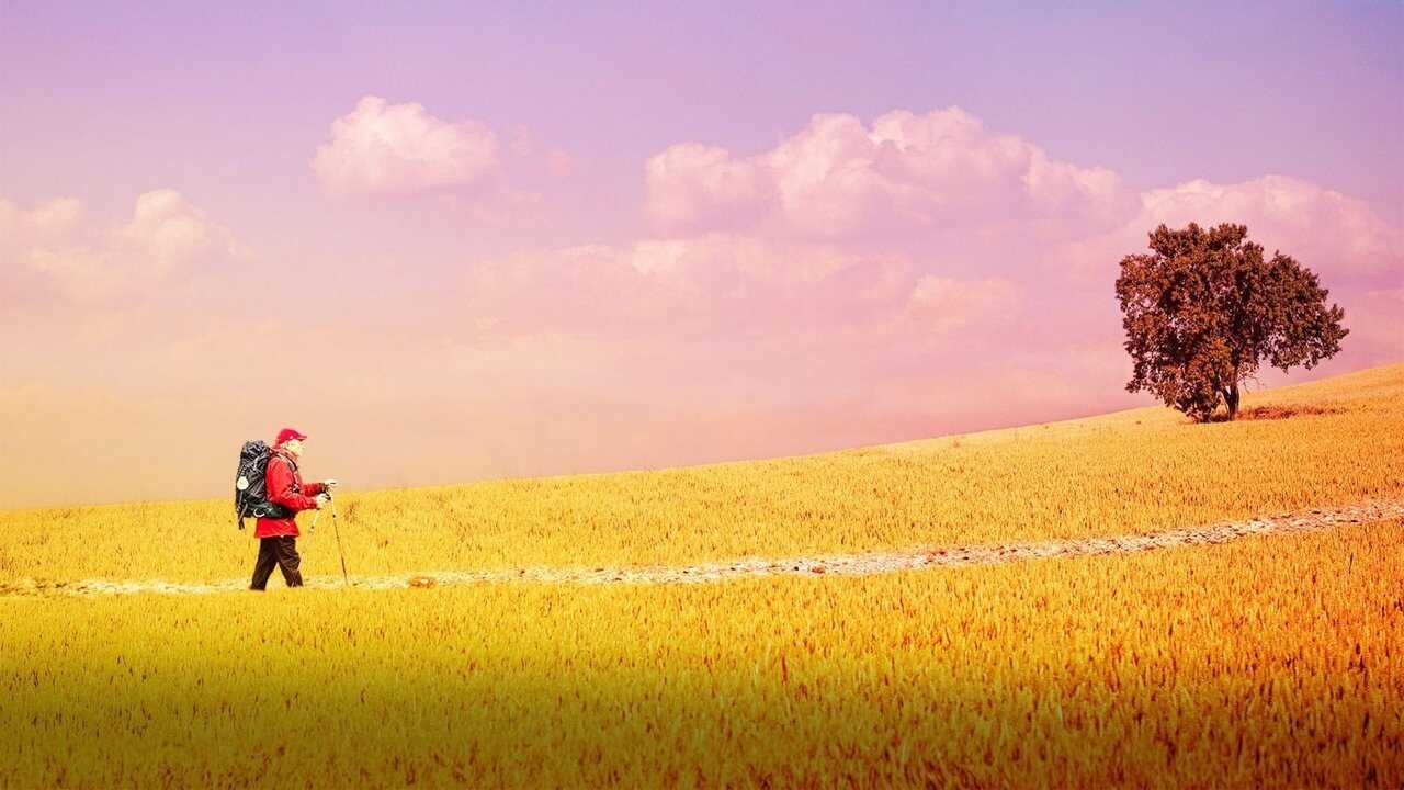 The Way, My Way 0