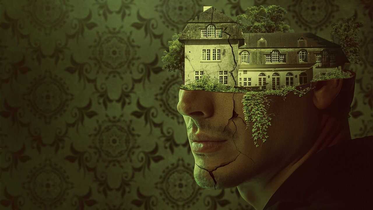 Noise (2023) 0