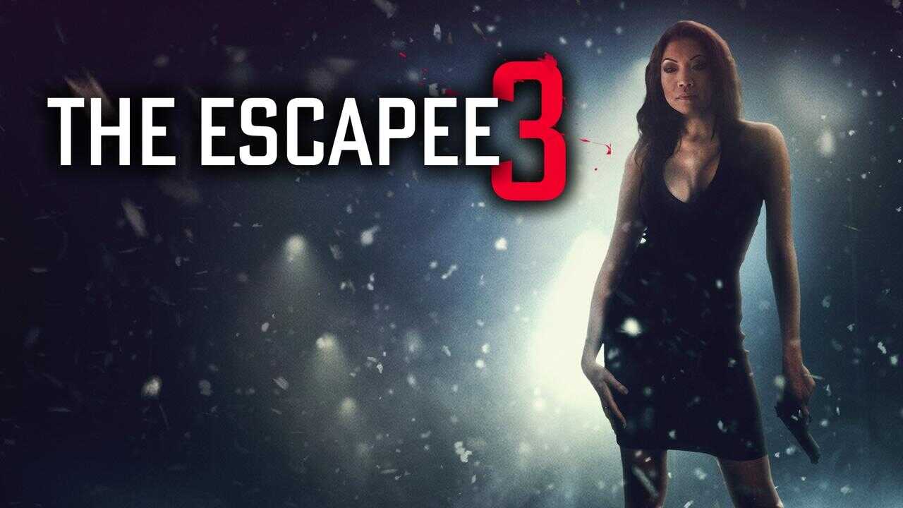 The Escapee 3: The Final Escape 0