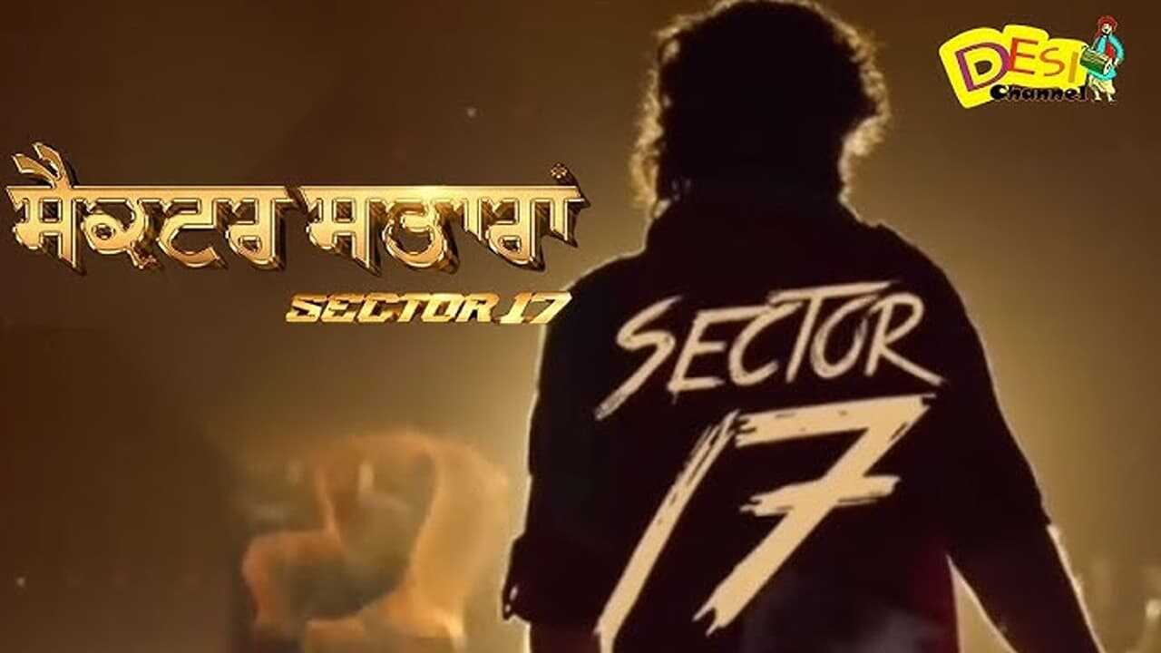 ਸੈਕਟਰ 17 0