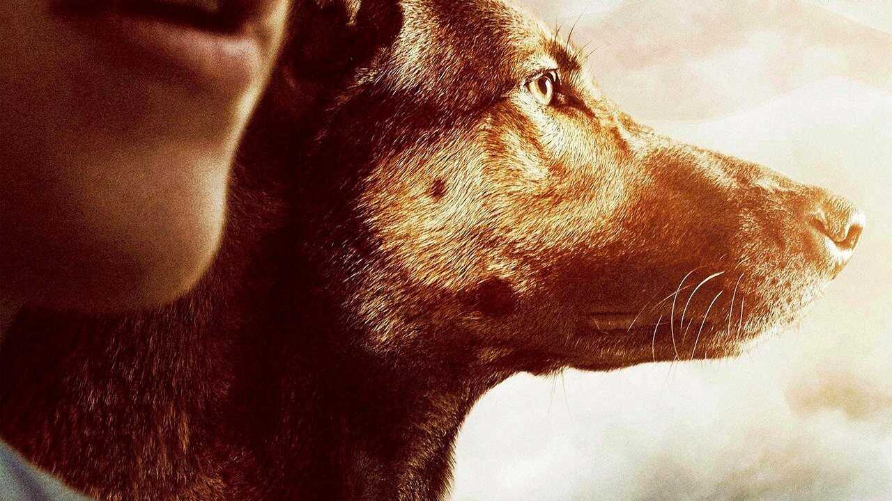 Max 0