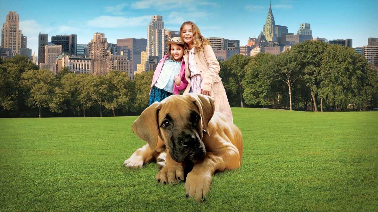 Chestnut: Hero of Central Park 0