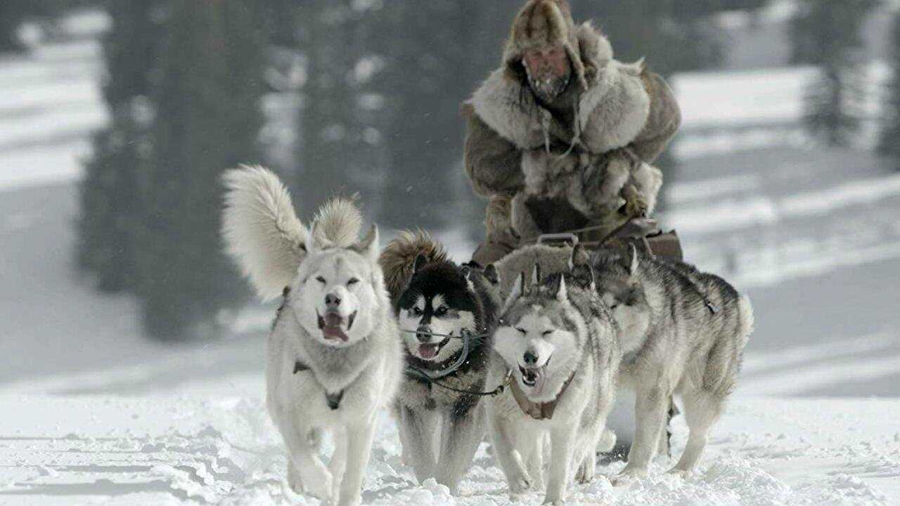 The Great Alaskan Race 0