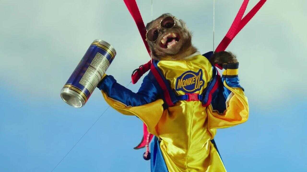 Monkey Up 0