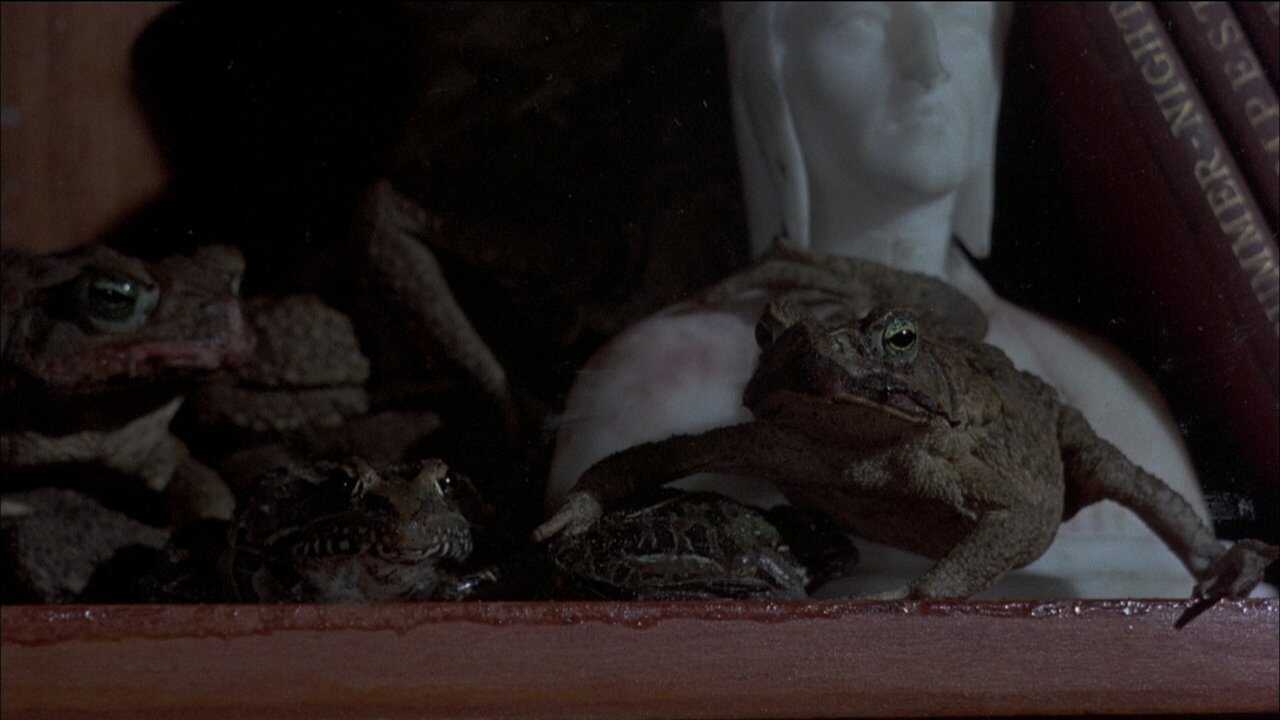 Frogs 0