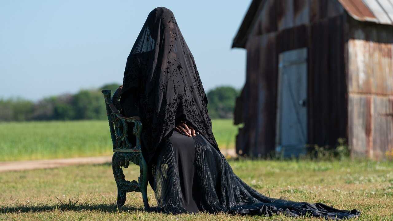 The Woman in the Yard 0