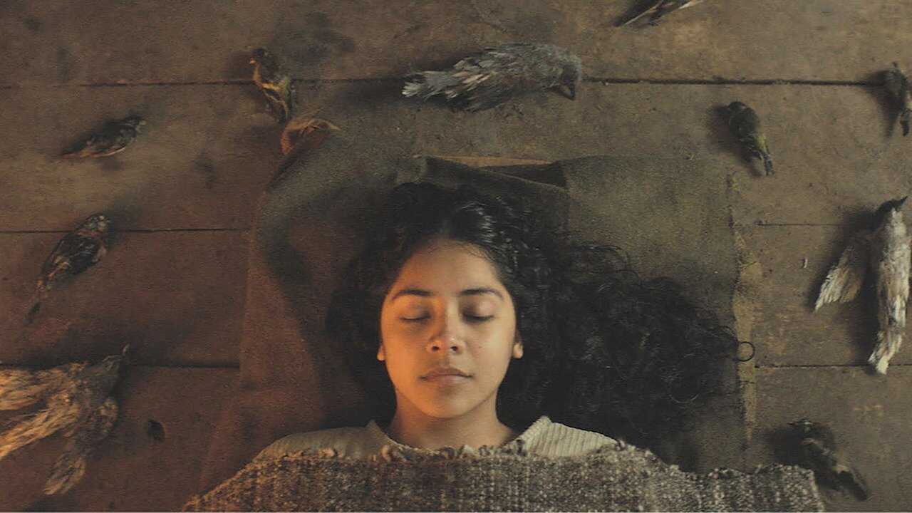 Sorcery (2024) 0
