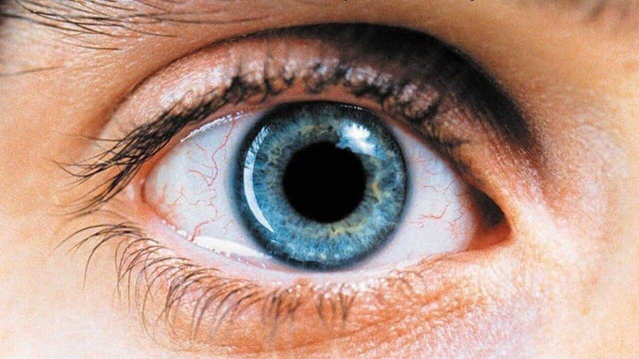 Requiem for a Dream (2000) 0