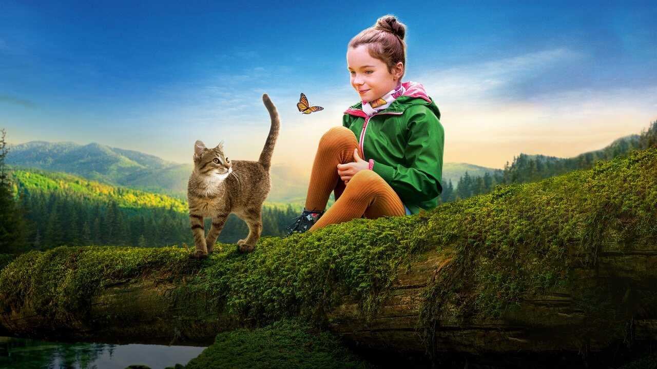 Mon chat et moi, la grande aventure de Rroû 0