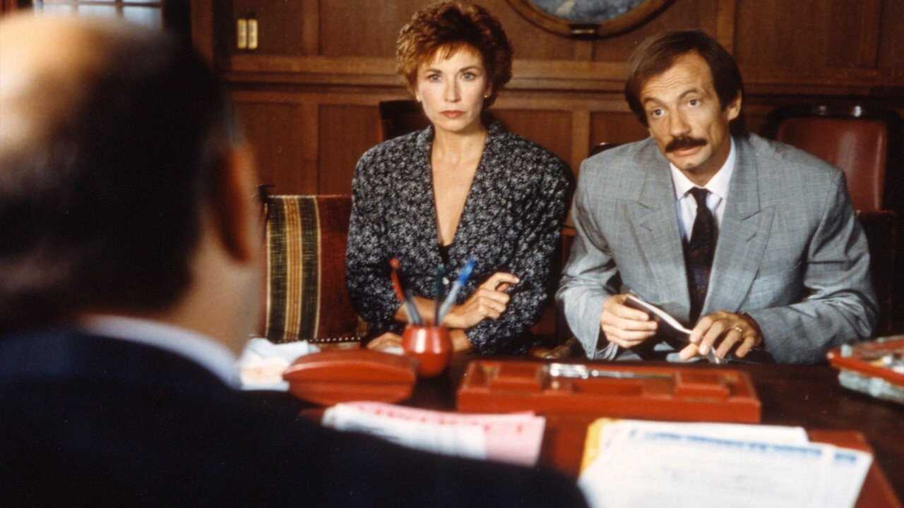 Les cigognes n'en font qu'à leur tête (1989) 0