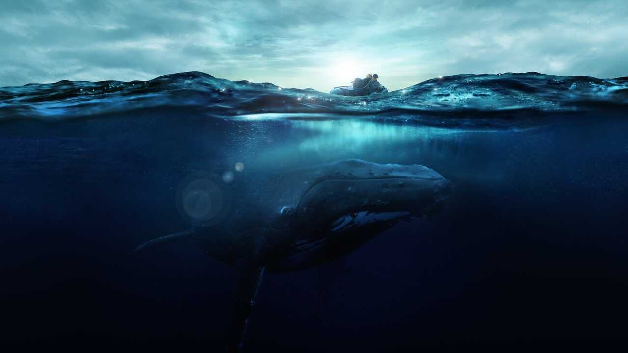 Fathom (2021) 0
