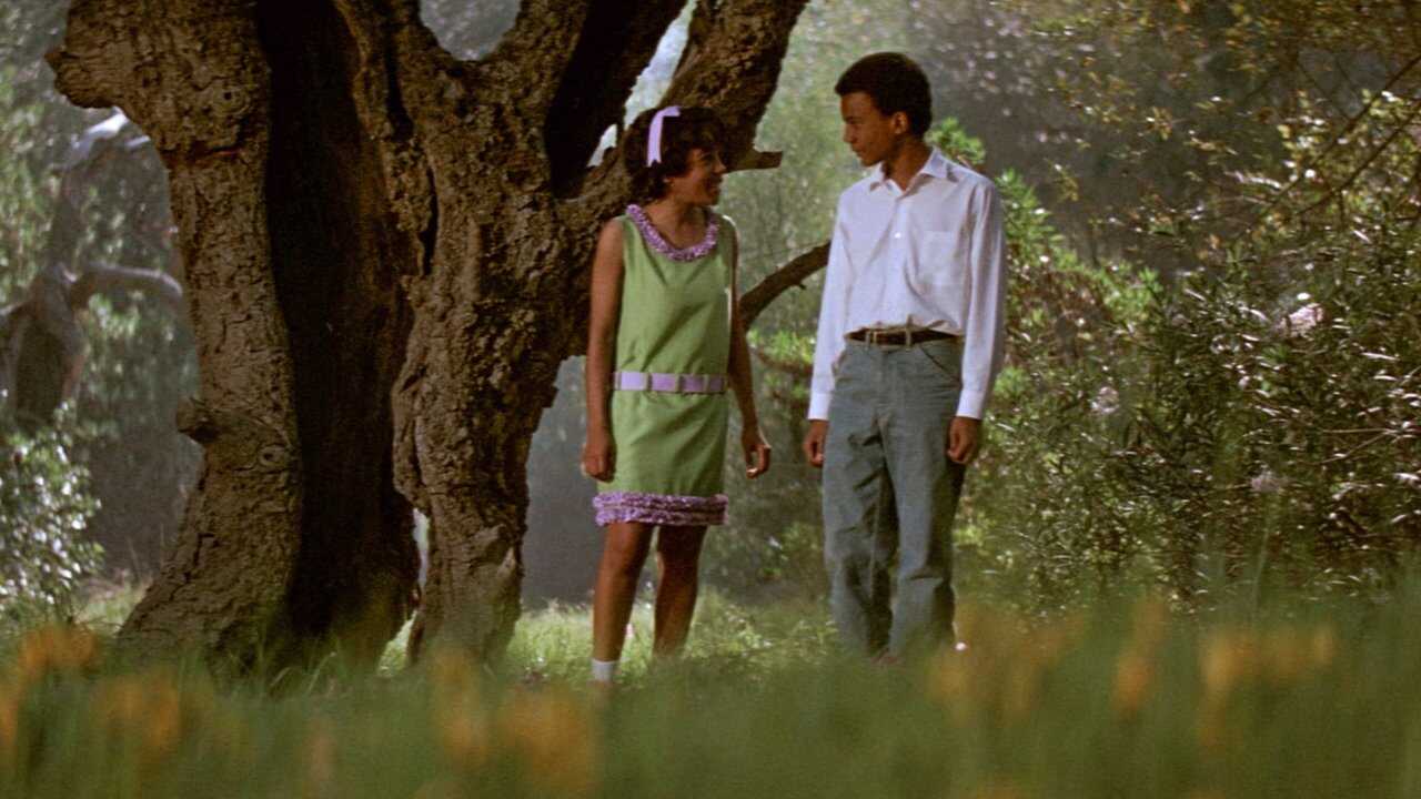The Learning Tree 0