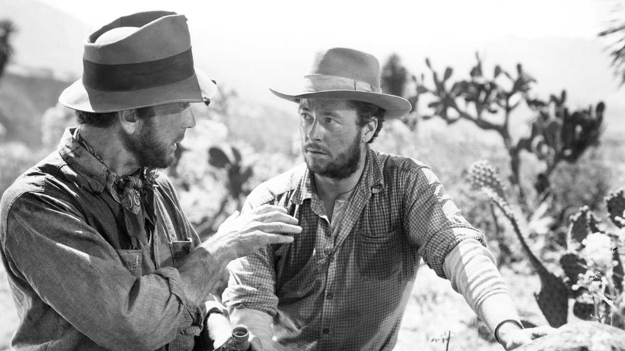 The Treasure of the Sierra Madre (1948) 0
