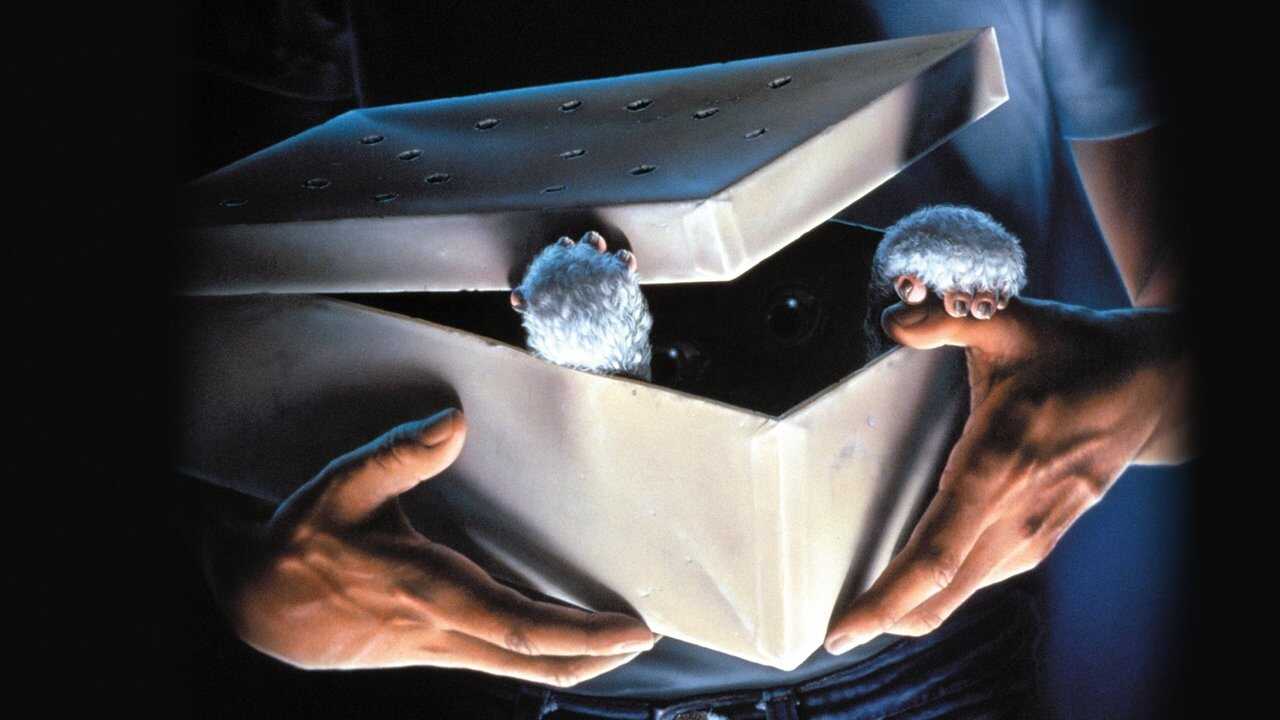 Gremlins 0