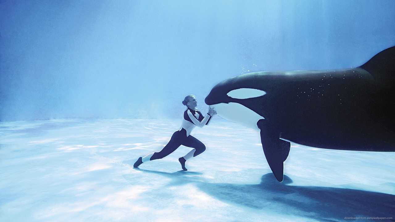 Orca - Fúria Animal (2013) 0
