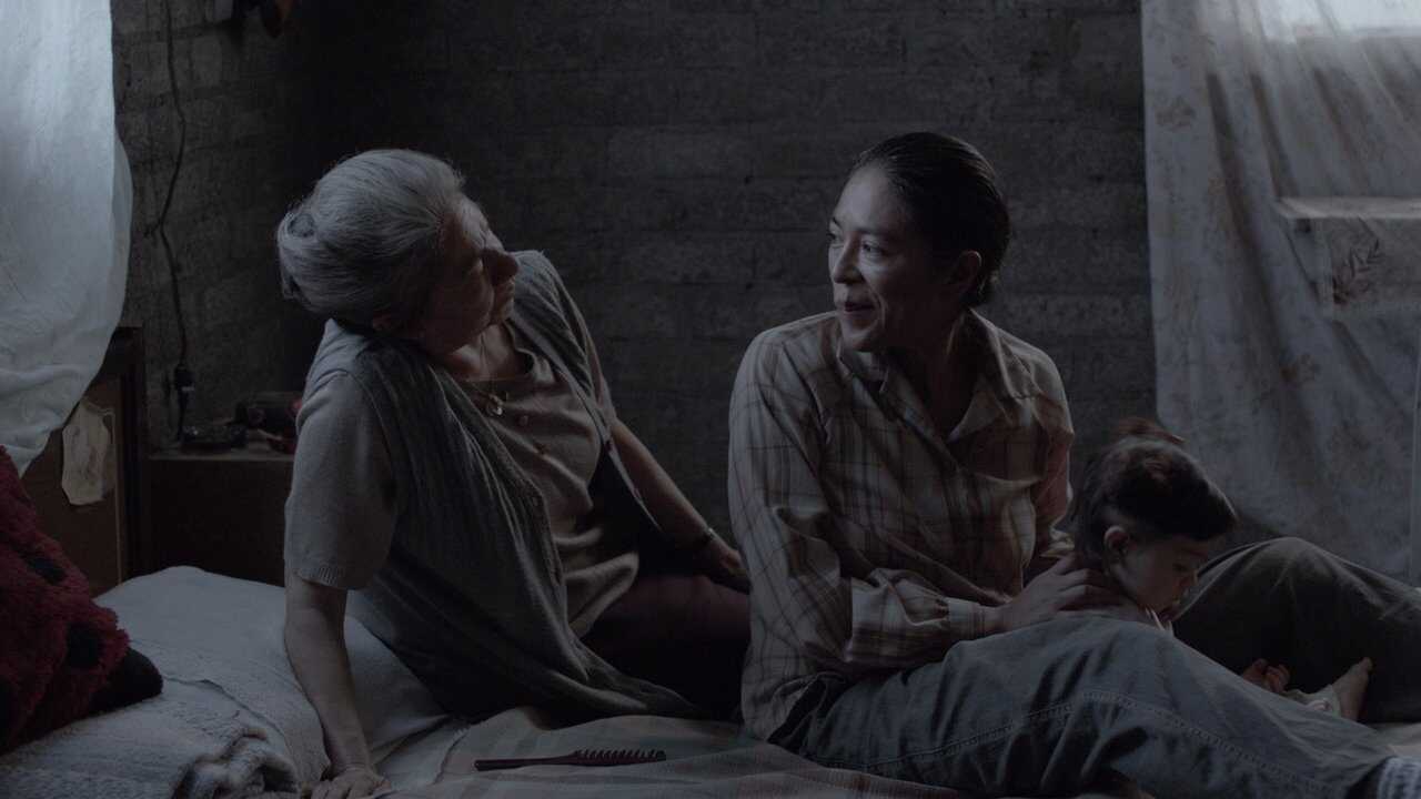 Tamara y la catarina 0