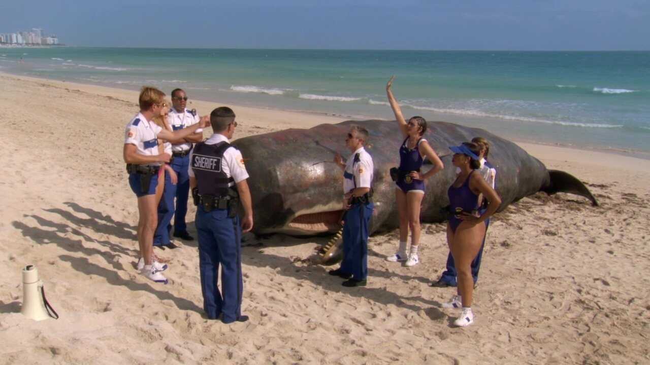 Reno 911! - Miami (2007) 0