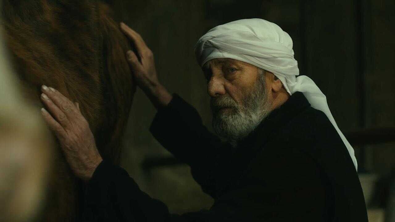 The Stranger (2021) 0
