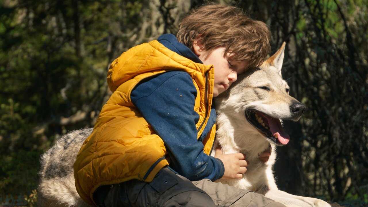 Taiki (2019) 0