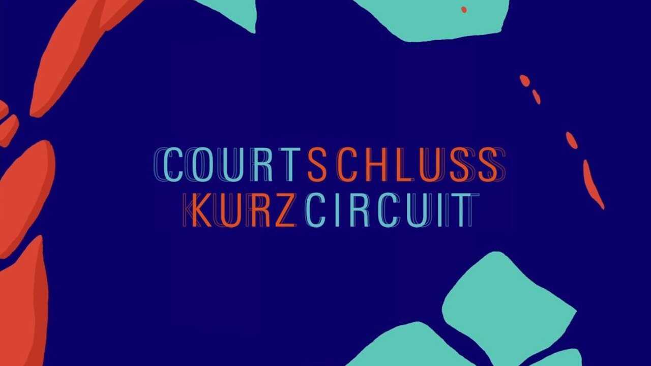 Fete de l'animation - Court-circuit 0