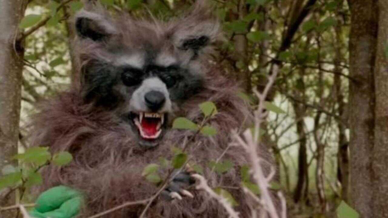Crackcoon (2024) 0