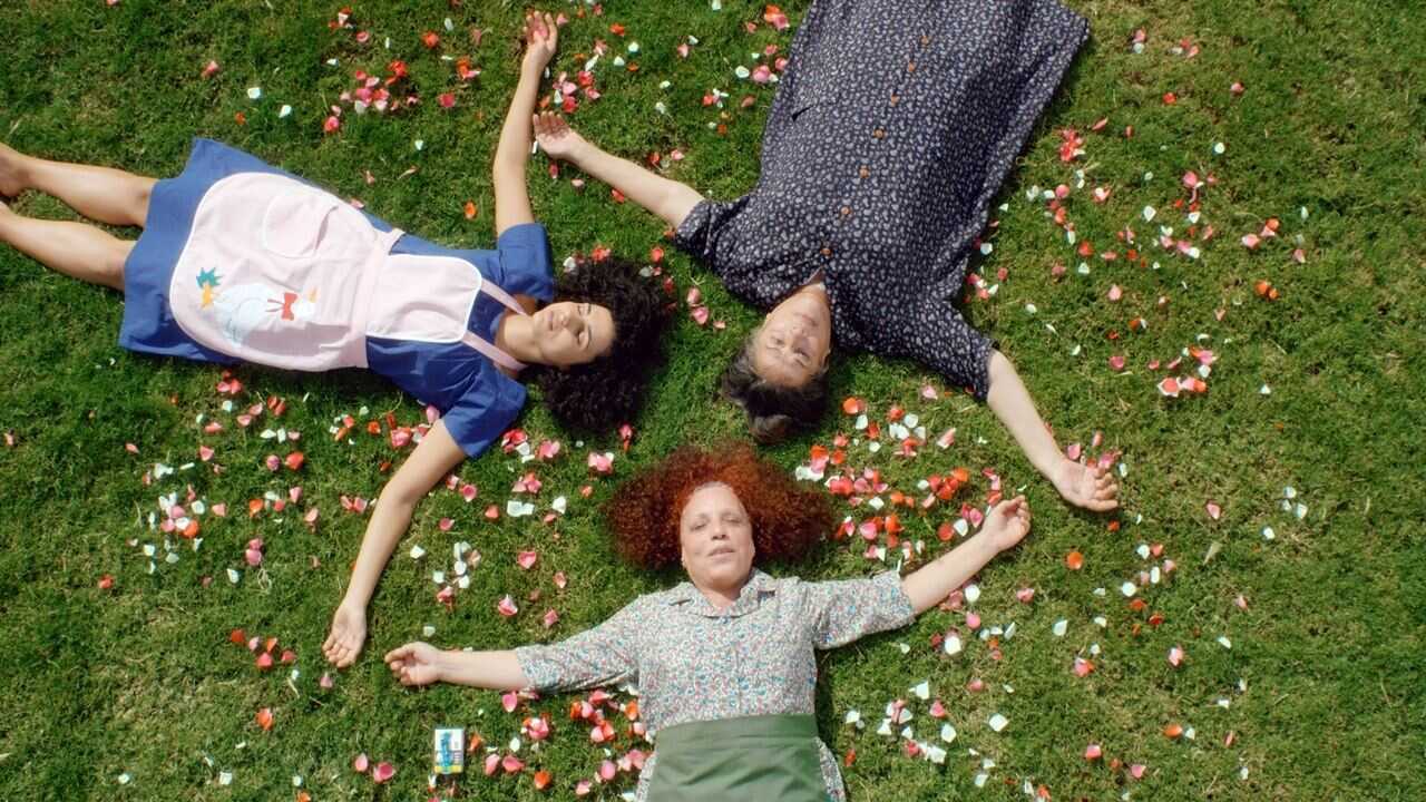 Cactus Flower (2017) 0
