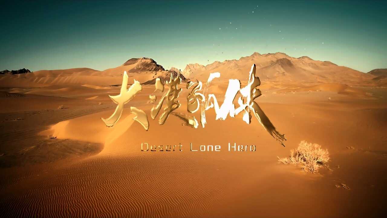 Desert Lone Hero (2025) 0