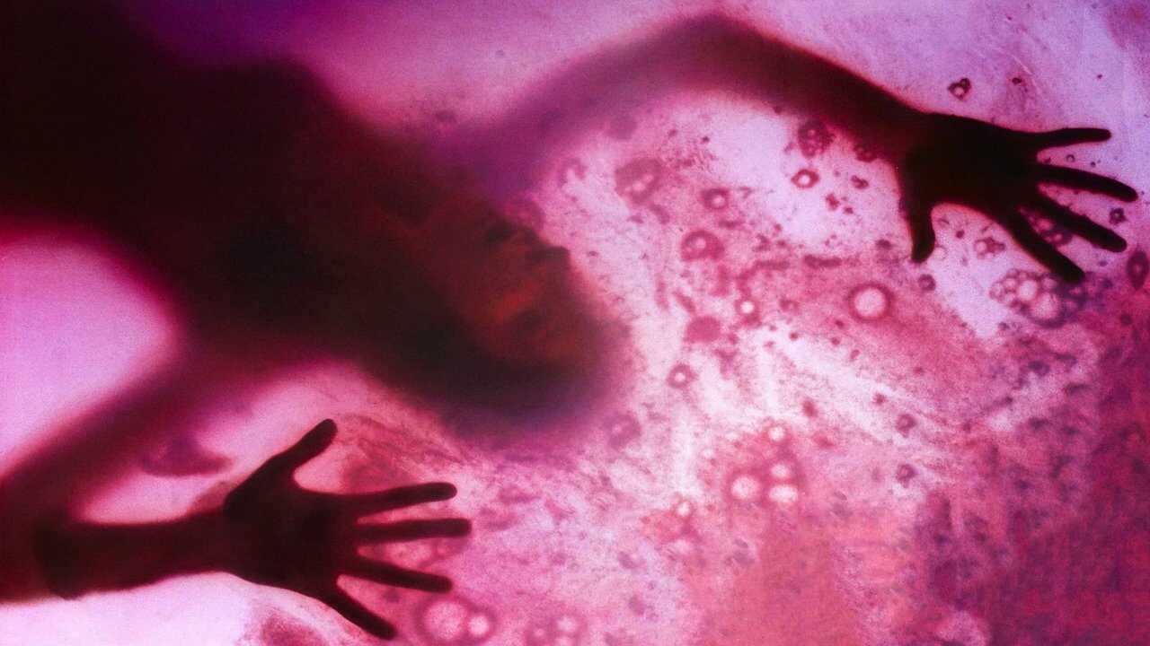 The Blob 0