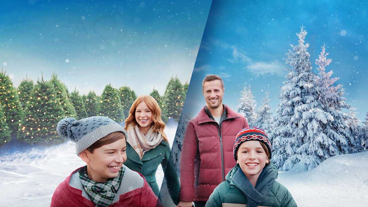Un merveilleux Noël en famille (2024) 0