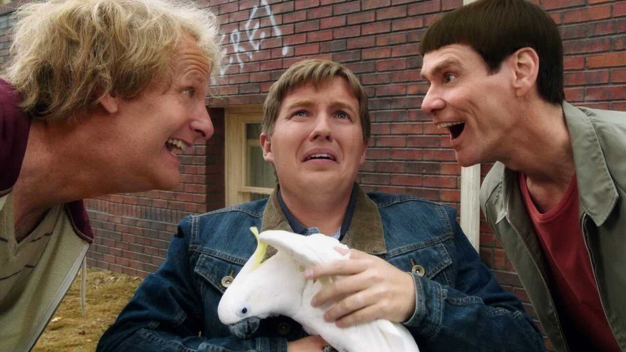 Dumb and Dumber To 0