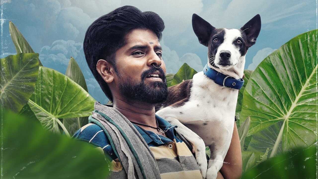 அலங்கு 0