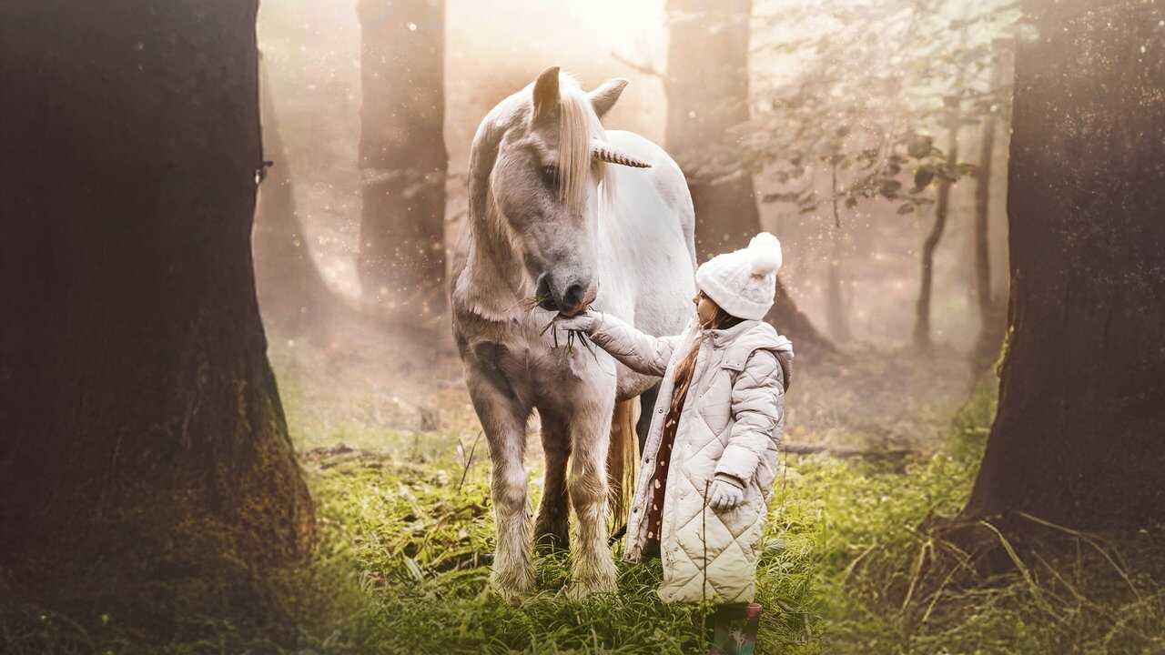 Tale of the Forest Unicorn 0