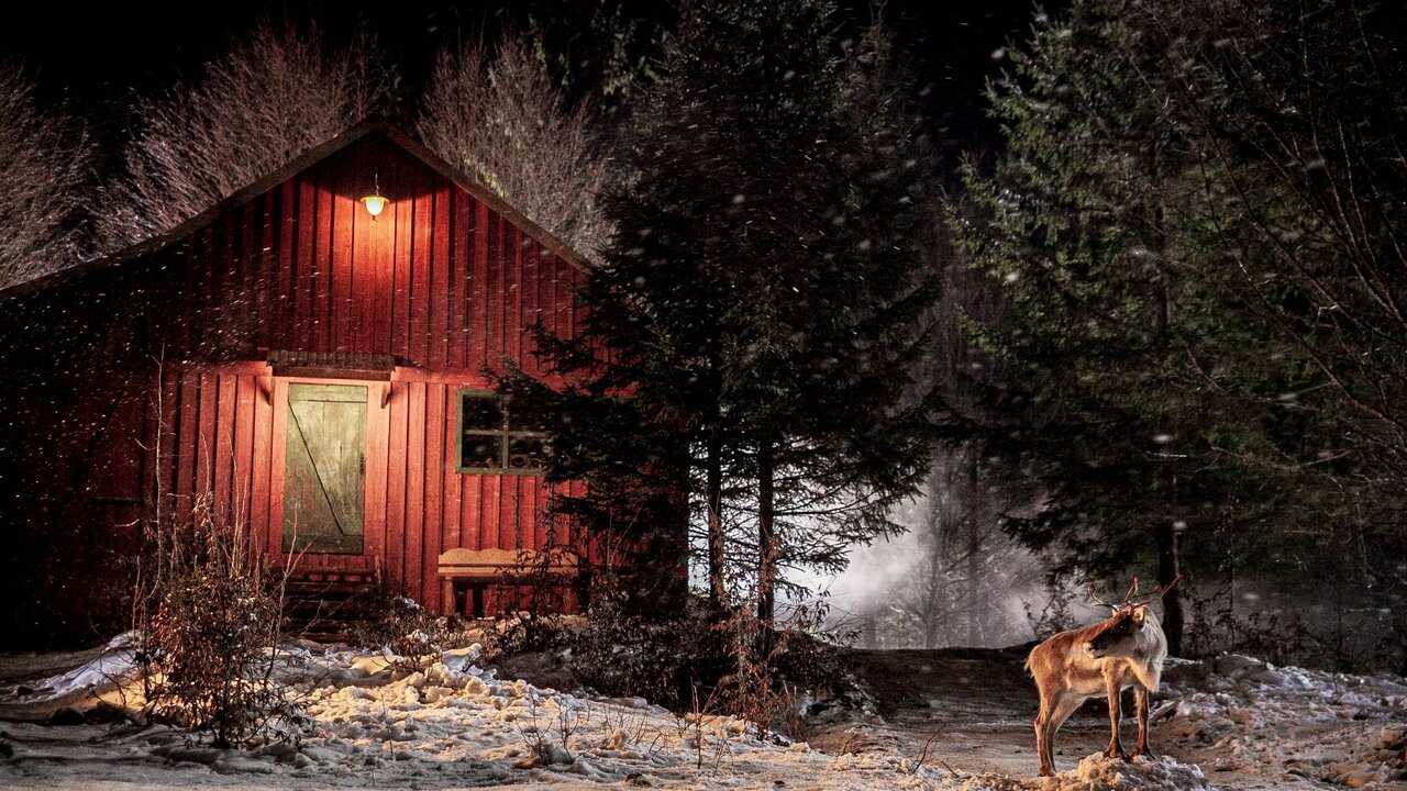 Prancer: A Christmas Tale 0