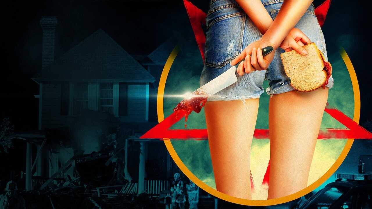 The Babysitter 0