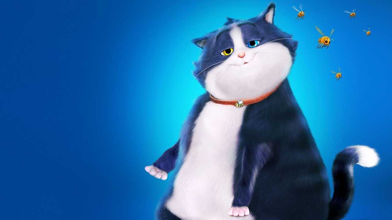 Alles für die Katz (2024) 0