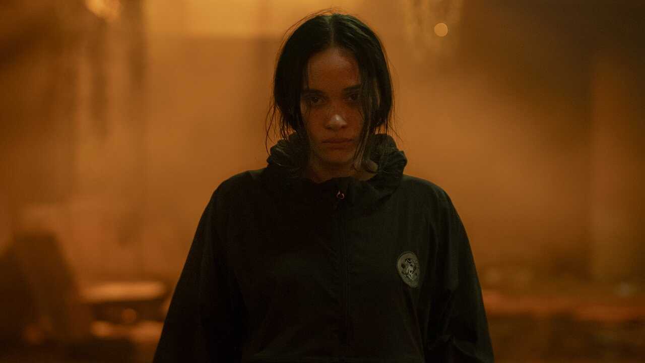 The Shadow Strays (2024) 0