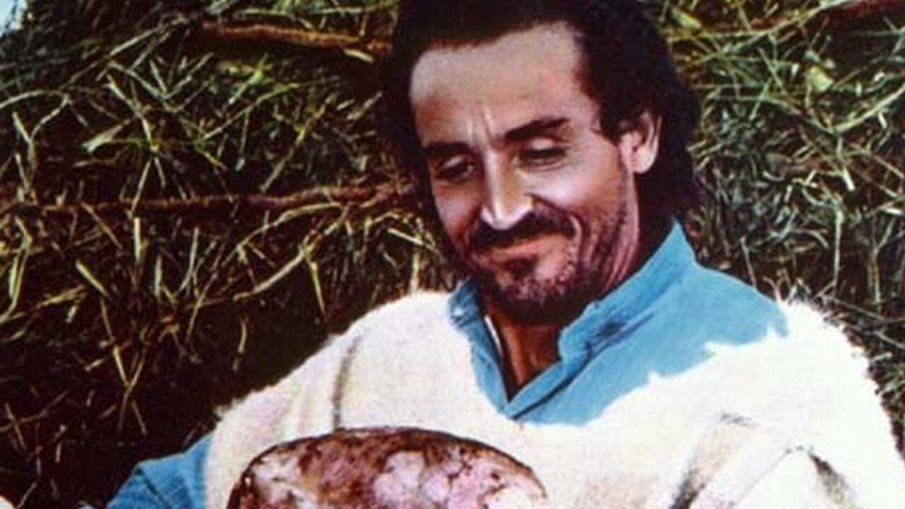 Il Profeta 0