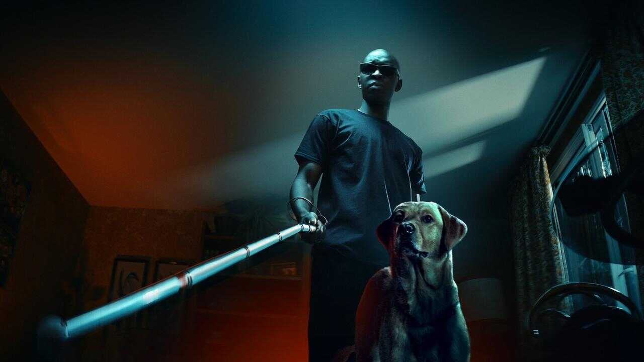 Le Roi des Ombres (2023) 0